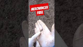 Merowinger Fibel metaldetecting treasurehunting sondeln merovingian fibula [upl. by Nihsfa71]