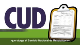 ANSES Asignaciones Familiares por Discapacidad [upl. by Drucilla]