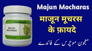 Majun Mochras ke fayde in hindi  benefits of majun Mochras  Majun Mochras uses [upl. by Daveda574]