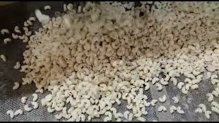 pasta making machine 300kg per hour Indias best quality machine manufacturers Growmax international [upl. by Yeliab]