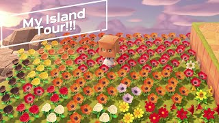 Animal Crossing Island Tour [upl. by Kaenel]