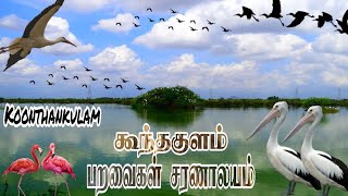 Birds Sanctuary In Tamilnadu  கூந்தன்குளம் பறவைகள் சரணாலயம்  Koonthankulam  Andrews Journey [upl. by Nimrac]