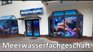 Meerwasseraquaristik Berlin Zu Besuch bei Meerwasser Wandlitz [upl. by Trauner]