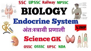 Human Endocrine System in Hindi  Biology  SSC MPSSC UPSC RAILWAY  GK MASTER [upl. by Akemyt]