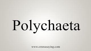 How To Say Polychaeta [upl. by Aprilette]