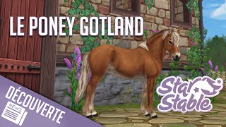 ACHAT DU PONEY GOTLAND  Star Stable  SSO [upl. by Virgilio882]