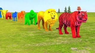 Long Slide Game With Elephant Gorilla Buffalo Hippopotamus Tiger  3d Animal Game  Funny 3d Animals [upl. by Coveney]