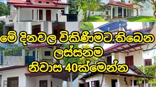 හැම තැනම ගෙවල් හොයන්න ඕන නෑ මෙන්න විකිණීමට තිබෙන නිවාස 40ක්  Beautiful house for sale in sri lanka [upl. by Anialam]