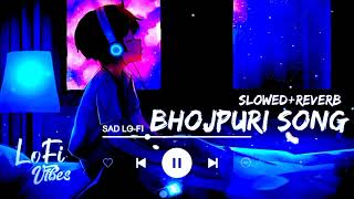 taka taki dher bhail slowed and reverb Remix Song taka taki dher bhail lofi Remix Song lyrics DJ [upl. by Lisan93]