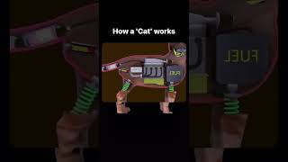 How a cat works [upl. by Eseilenna253]