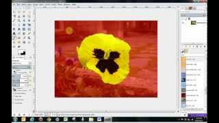 Gimp 28 Tools Tutorial  How to use Selection Tools [upl. by Bela]