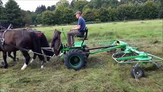 Heu wenden mit Pferden  PferdeStark 2023  Vorderwagen Mechanikerei Bauer [upl. by Trautman]