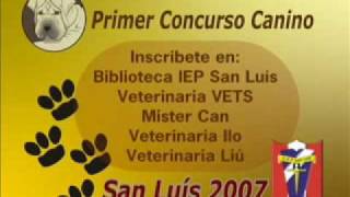 CONCURSO CANINO 2007 [upl. by Nnahtur]