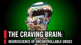 The Craving Brain Neuroscience of Uncontrollable Urges [upl. by Eanel66]