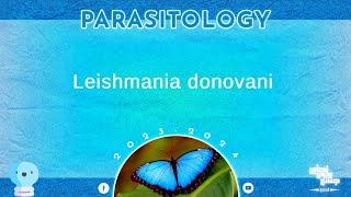 L7 part 1 leishmania donovani parasitology [upl. by Allak630]