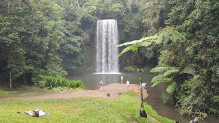 Millaa Millaa Falls Australia  4K walking tour Atherton Tablelands Queensland [upl. by Anivle]