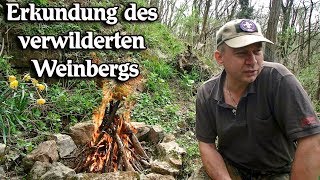 Erkundung des verwilderten Weinbergs [upl. by Einnad550]