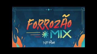 Felipe Amorim  Forrózão Mix FogueiraSe Ainda Existe Amor Lyric Vídeo [upl. by Eiramanin]