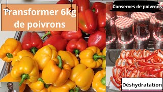 Comment CONSERVER LES POIVRONS afin den avoir même en HIVER Manger les légumes dété en HIVER [upl. by Draillih]