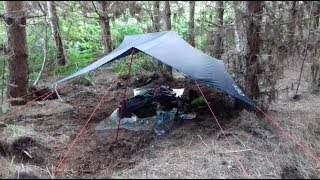 WILD CAMPING AND WALKING IKEN AND TUNSTALL FOREST PART 2 OF 2 [upl. by Akenahs62]