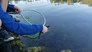 Clear Lake Oregon Fishing Adventure [upl. by Anirac970]