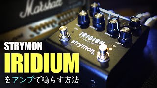 IRIDIUMイリジウムをアンプで鳴らす方法  strymonストライモン IRIDIUM [upl. by Nnylkcaj]