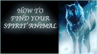 How To Find Your Spirit Animal [upl. by Leonor]