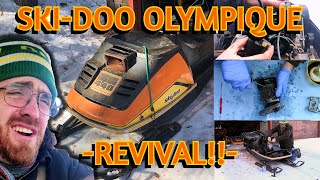 1975 SkiDoo Olympique 340 REVIVAL [upl. by Warford755]