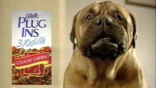 Glade Plug Ins quotTalking Dogquot 90s TV Commercial 1996 [upl. by Almita]