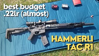 Accuracy amp Precision with Suppressor  Hammerli Tac R1 22lr Rifle [upl. by Ardnaeed]