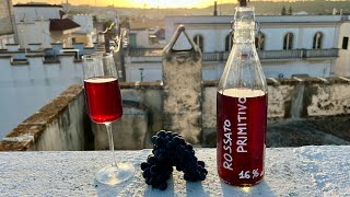 VINO ROSATO fatto in casa [upl. by Cresa439]