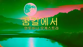 꿈길에서 Beautiful Dreamer❤️ Mantovani Orchestra만토바니 오케스트라 [upl. by Wallace]