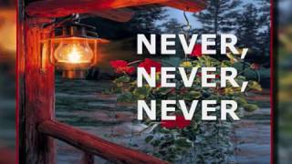 NEVER NEVER NEVER  Lyrics [upl. by Nonregla307]