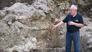 Excavations of the Great Synagogue of Vilna reveal the destruction of the synagogue [upl. by Benisch]