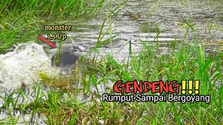 GILAA  CASTING IKAN GABUS KETIKA AIR SURUT TAK TERDUGA UKURAN MONSTER BERHASIL DI DAPAT AS194 [upl. by Alilak748]