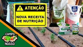 Nova receita de Nutrientes  Hidroponia na areia hidroponia agro [upl. by Chatav]