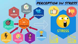 Stress et sport  stress négatif VS stress positif [upl. by Dela]