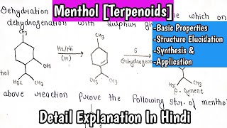 Menthol TerpenoidsNatural Product Organic Chemistry Structure ElucidationSynthesis ampApplication [upl. by Ellehcsar]