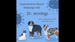 OSU PreVeterinary Medical Association Fall General Body Meeting 4 Dr Jennings Part 2 [upl. by Lika]