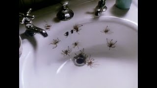 Arachnophobia 1990 Theatrical Trailer [upl. by Corrina]