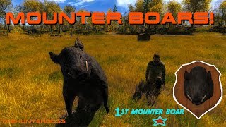 Finding WALL HANGERS 19 Wild Boar THEHUNTER 2017 [upl. by Elleral826]