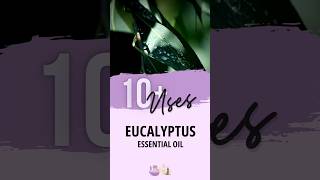 Eucalyptus Essential Oil Uses  Essential Oils Education [upl. by Aeli]