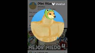 Videos de mango mango mango [upl. by Welby885]