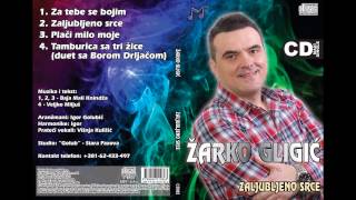 Zarko Gligic  Za tebe se bojim  Audio 2014 [upl. by Egbert]