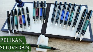 Pelikan Souverän Collection Overview  A True Icon in Writing  Available at Appelboom [upl. by Barcus752]