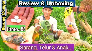 Unboxing Dan Review Sarang Burung Manyar  Hasil Mbolang Di Alam [upl. by Bolan]