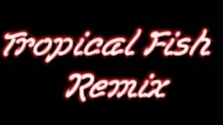 Luz Casal  Piensa en mi Tropical Fish Remix [upl. by Origra473]