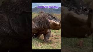 KOMODO DRAGON hunting got 😱 lizard shorts komodo animals [upl. by Aneleiram642]