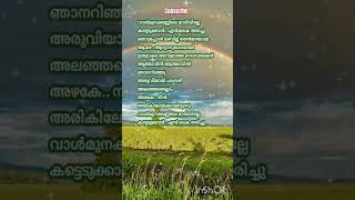 Aadupuliyattam youtubeshortsmalayalamsonglyrics trendingsong youtube subscribe lyirics like [upl. by Naimerej]