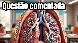 Questão comentada sobre o sistema respiratório [upl. by Iaria]